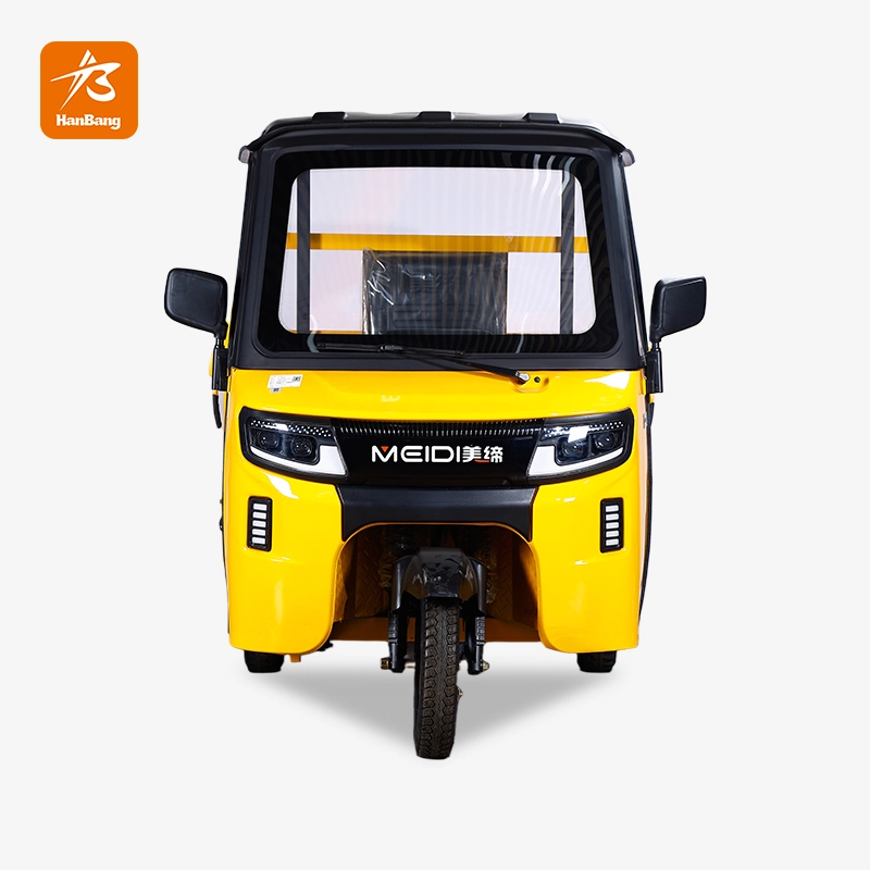 3 Wheel Electric Passenger Rickshaw Tricycle