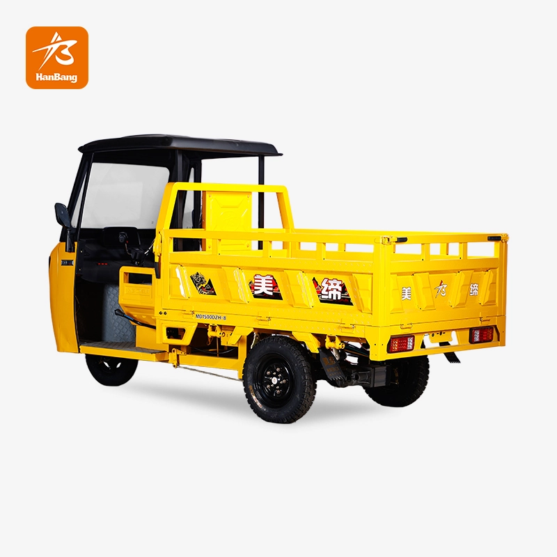 3 Wheel Electric Passenger Rickshaw Tricycle 3 Wheel Electric Passenger Rickshaw Tricycle