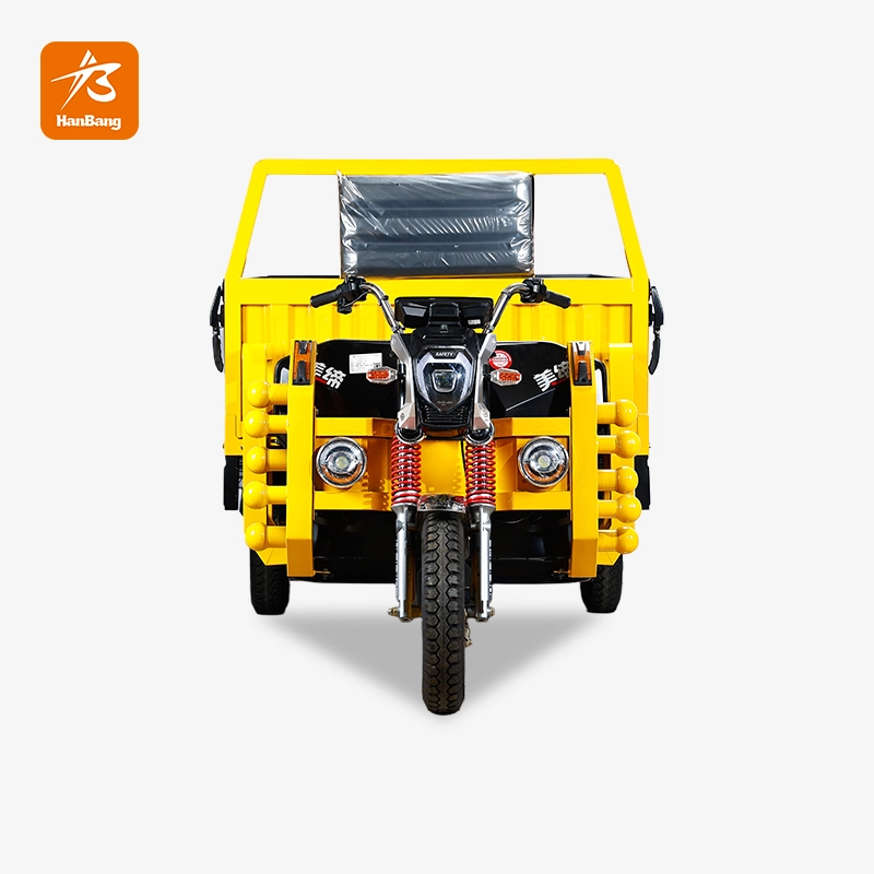 Heavy Load Cargo Electric Tricycle