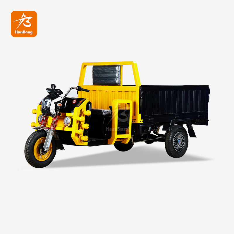 Heavy Load Cargo Electric Tricycle
