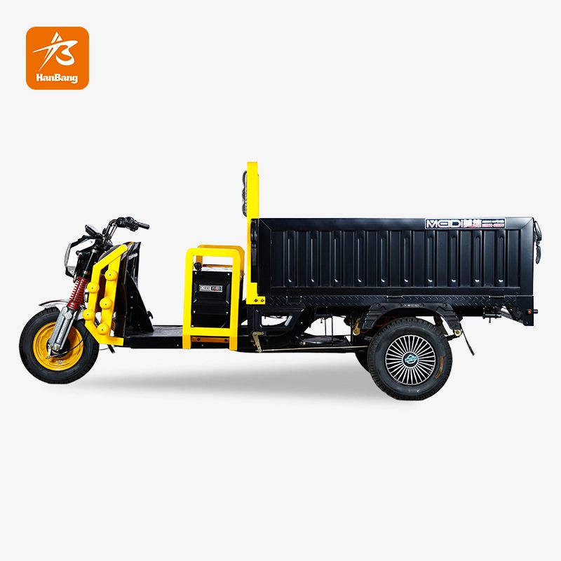 Heavy Load Cargo Electric Tricycle