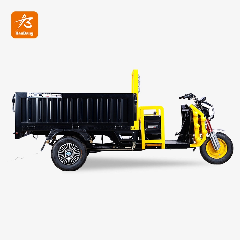 Heavy Load Cargo Electric Tricycle