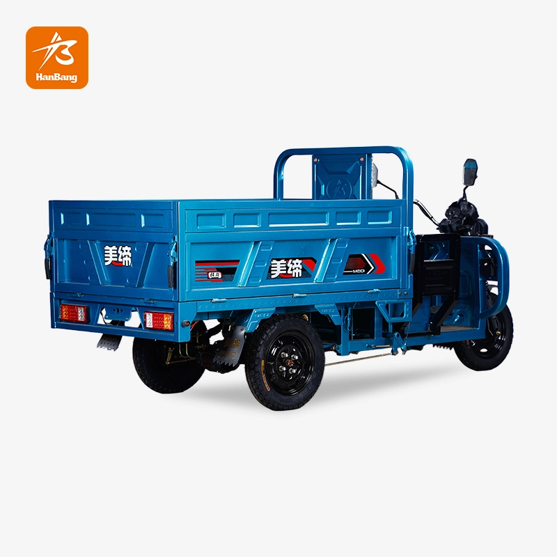 Cargo Electric Tricycle for Adults