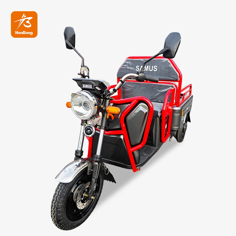 Leisure electric cargo tricycle for adults with EEC Leisure electric cargo tricycle for adults with EEC