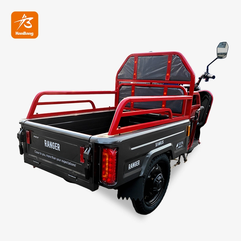 Electric Cargo Tricycle with Box