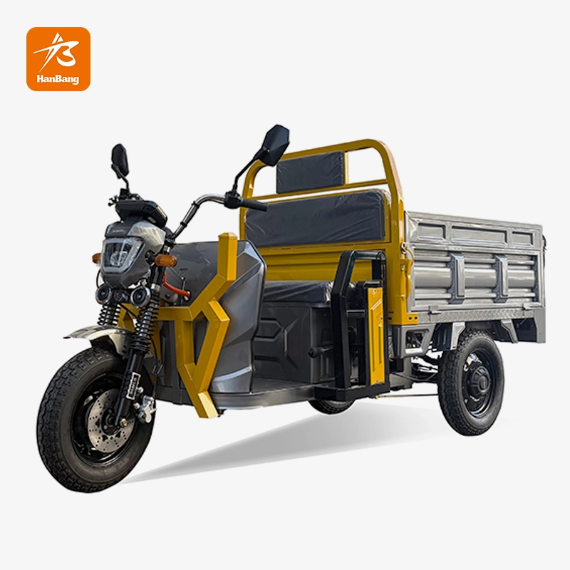 EEC Electric 3 Wheeler Cargo Tricycle Truck
