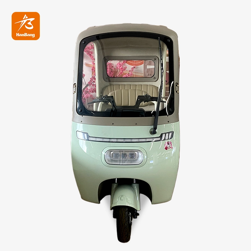 Pretty Leisure 3 Wheel Electric Passenger Rickshaw Tricycle Pretty Leisure 3 Wheel Electric Passenger Rickshaw Tricycle