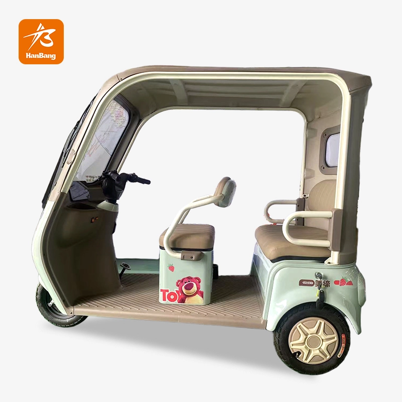 Leisure Electric Tricycle