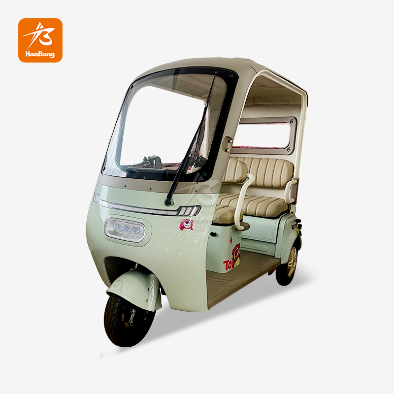 Leisure Electric Tricycle Leisure Electric Tricycle