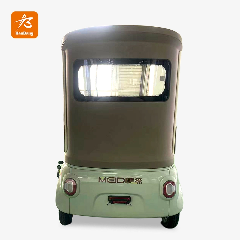 Leisure Electric Tricycle