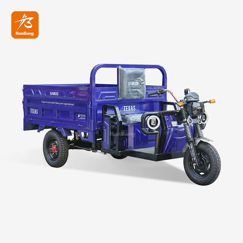 Heavy Duty Electric Cargo 3 Wheeler