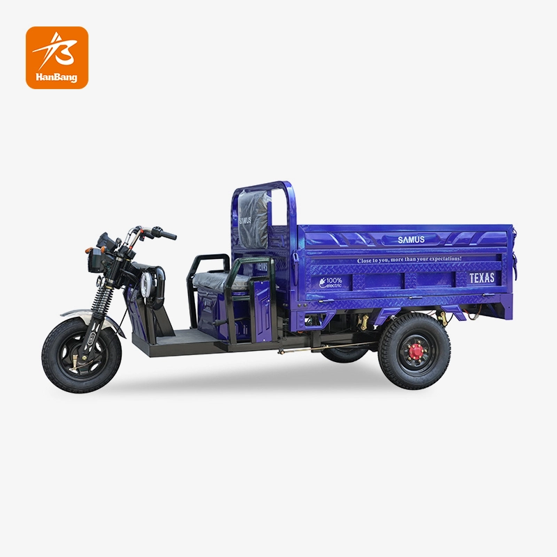 Heavy Load Electric Cargo Tricycle with EEC Heavy Load Electric Cargo Tricycle with EEC