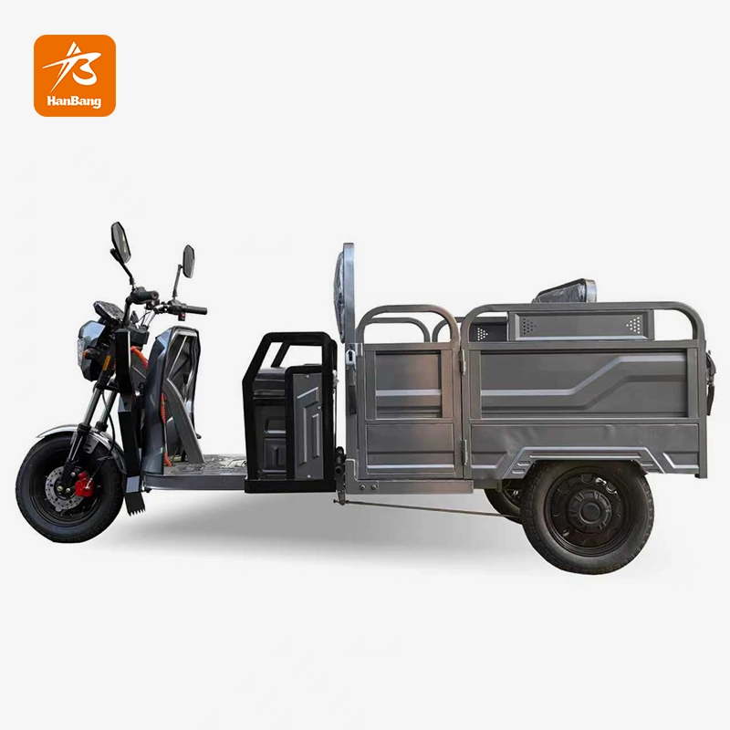 Foldable Design Electric Tricycle Dual-purpose Foldable Design Electric Tricycle Dual-purpose