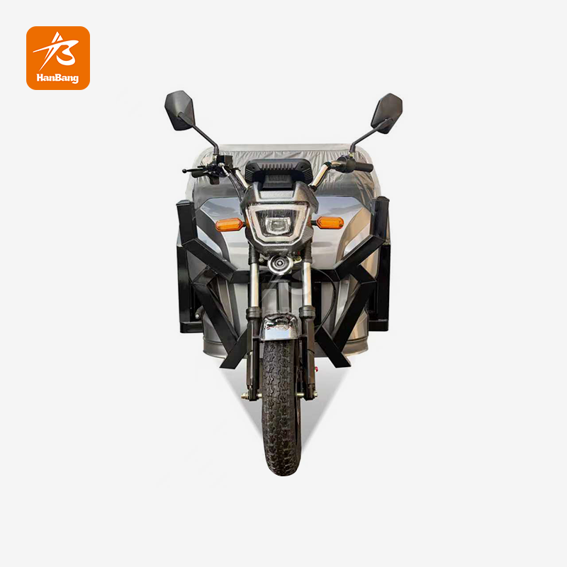 Foldable Design Electric Tricycle Dual-purpose