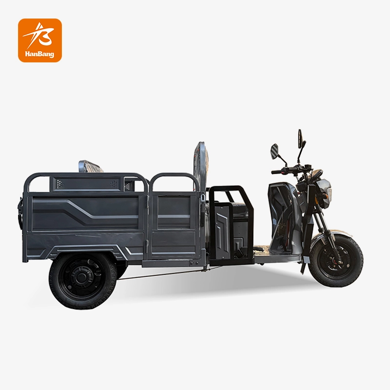 Foldable Design Electric Tricycle Dual-purpose Foldable Design Electric Tricycle Dual-purpose