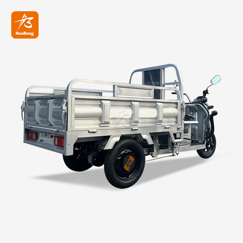Motorcycle Electric Tricycle 3 wheeler cargo Motorcycle Electric Tricycle 3 wheeler cargo