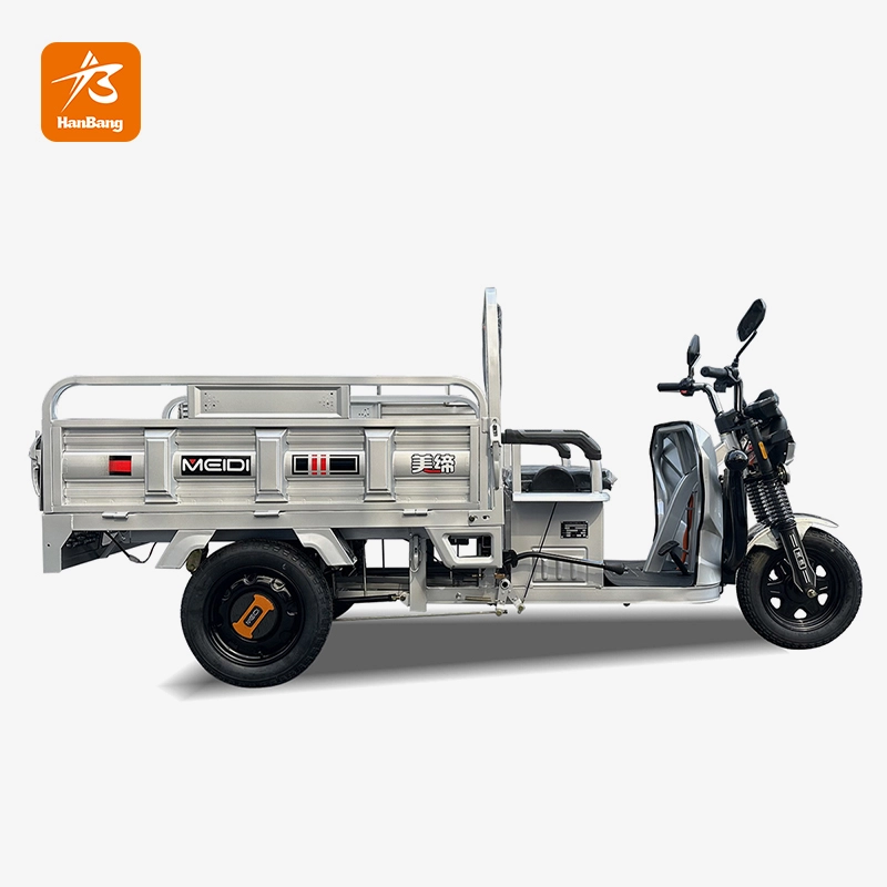 Motorcycle Electric Tricycle 3 wheeler cargo