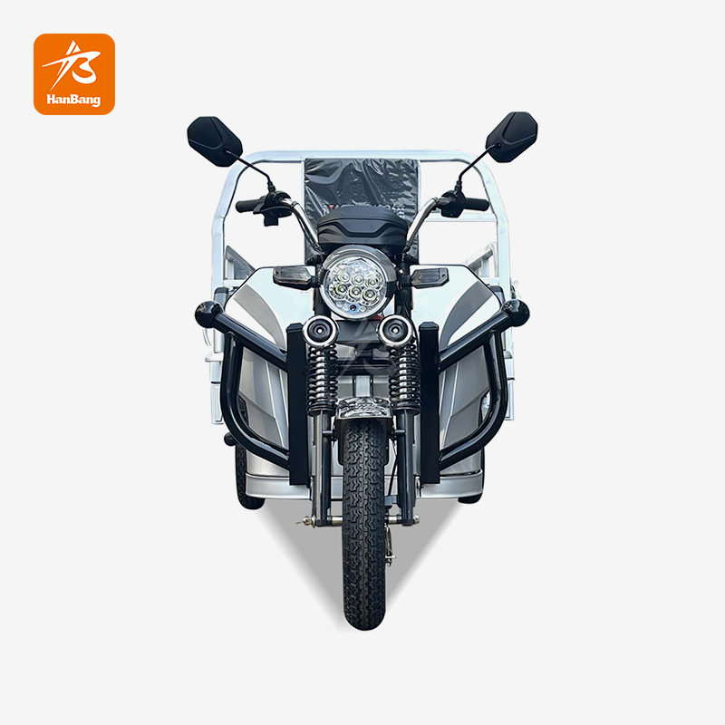 Customized Electric Tricycle Cargo Customized Electric Tricycle Cargo