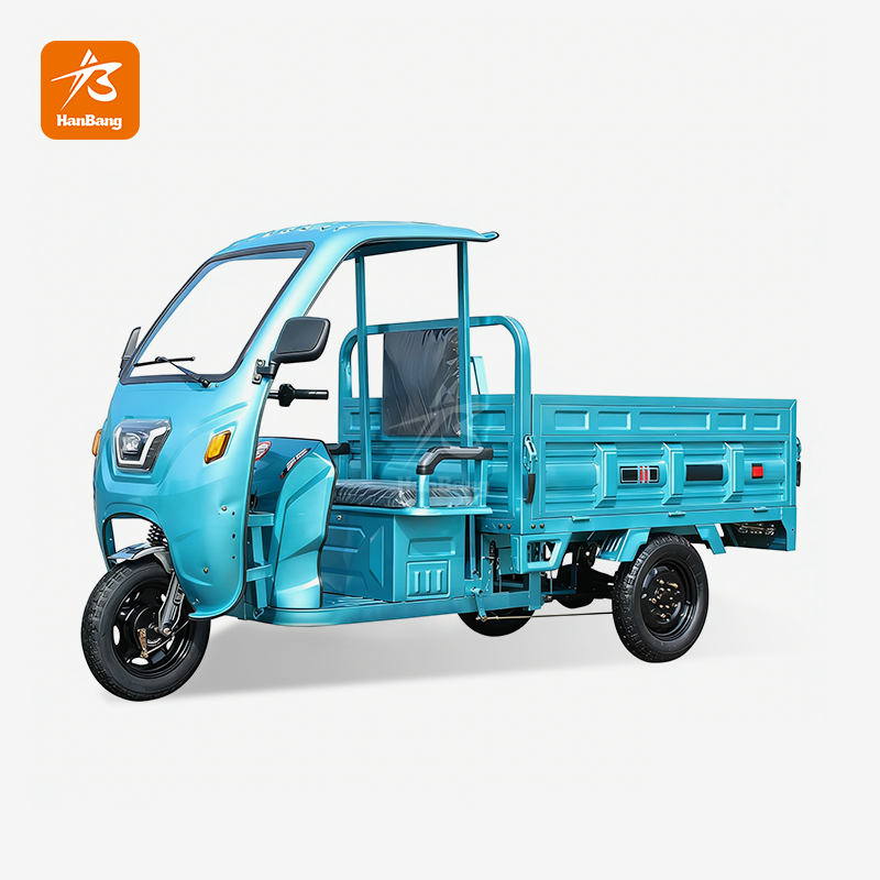 3 Wheel Electric Rickshaw Tricycle Cargo