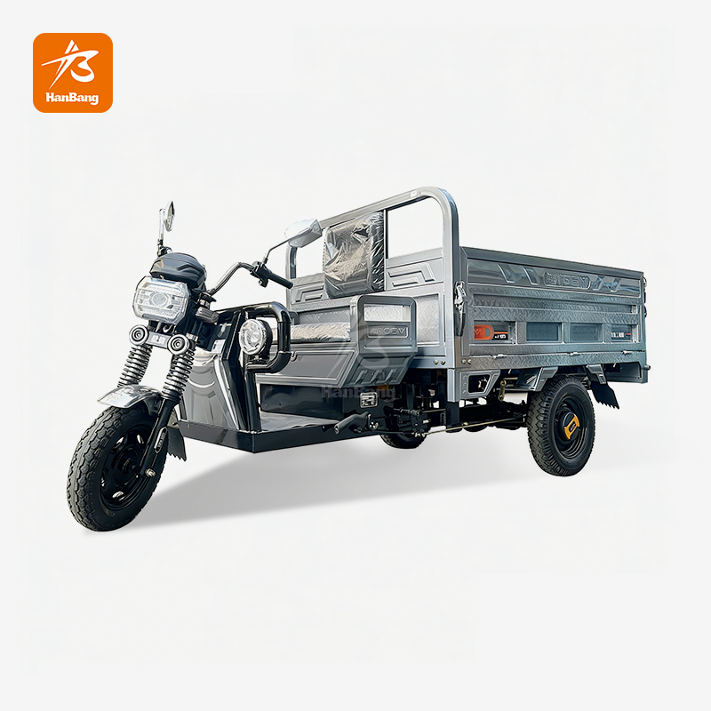 Heavy Load Capacity electric 3 wheeler cargo