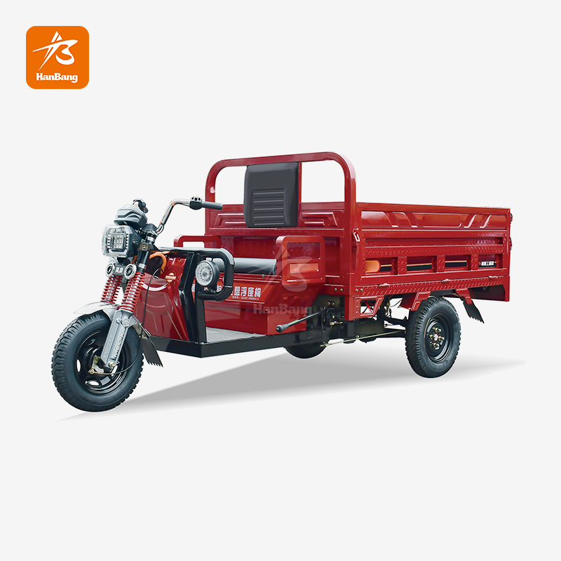 Heavy Load Capacity electric 3 wheeler cargo