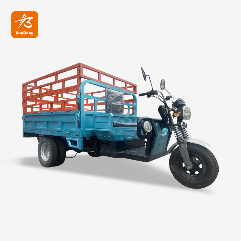 Unique Design Heavy Load Electric Tricycle