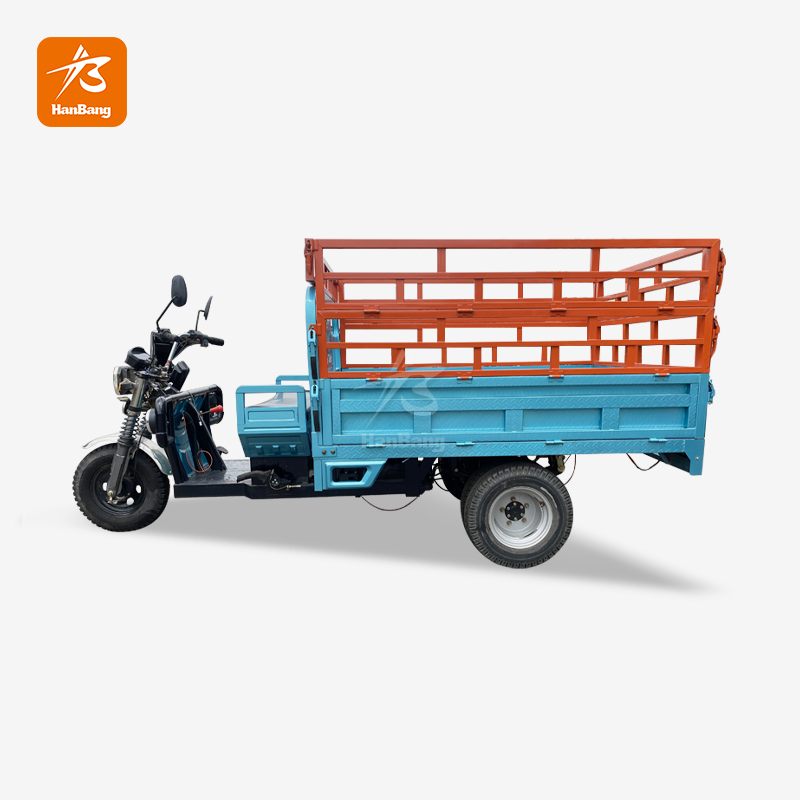 Unique Design Heavy Load Electric Tricycle