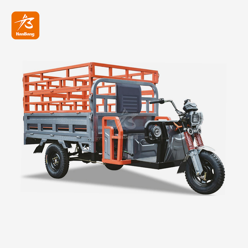 Electric Tricycle Cargo with Double High-rail