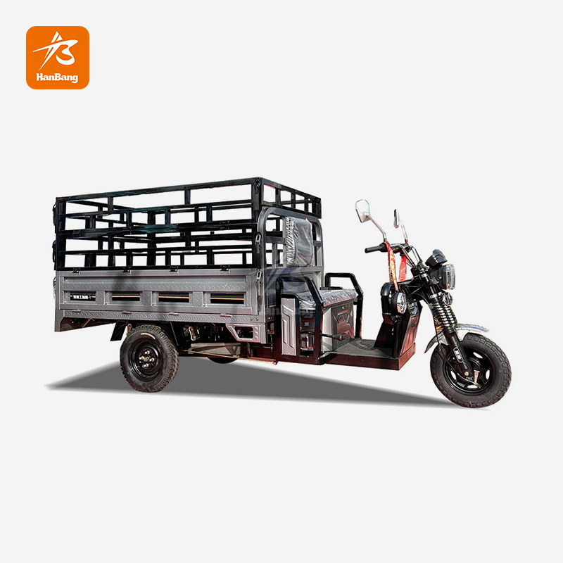 Electric Truck Cargo Tricycle heavy load