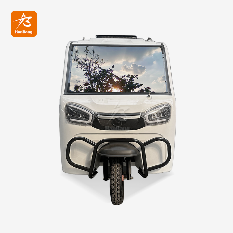 Passenger Electric 3 Wheeler