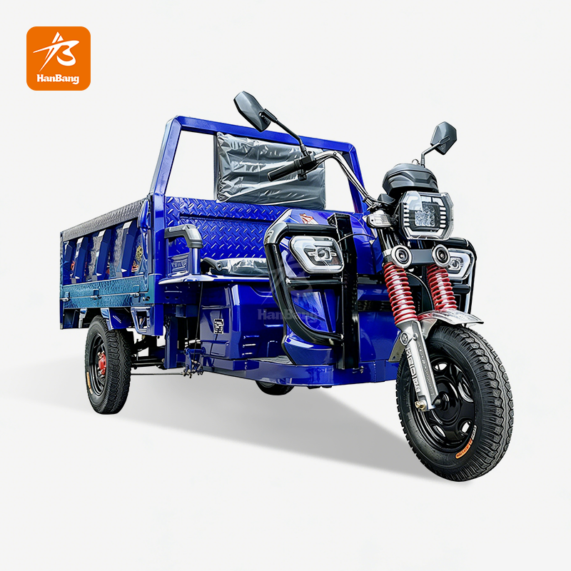 Electric Tricycle Dual-purpose