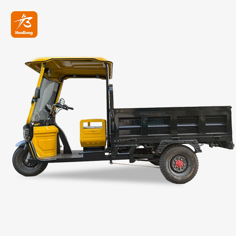 Electric Utility Tricycle Trike rickshaw cargo