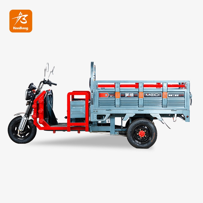 Electric Tricycle with Riveted Frame