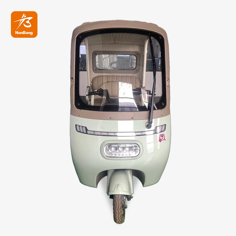 Pretty Leisure 3 Wheel Electric Passenger Rickshaw Tricycle