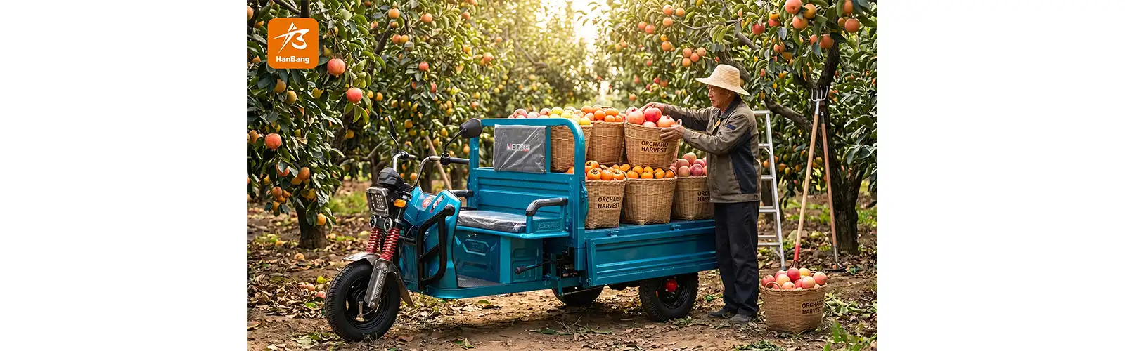 Hanbang heavy duty electric cargo tricycle