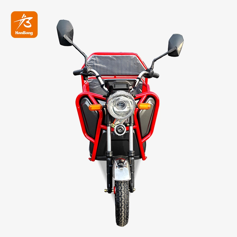 Leisure cargo tricycle electric with EEC certification