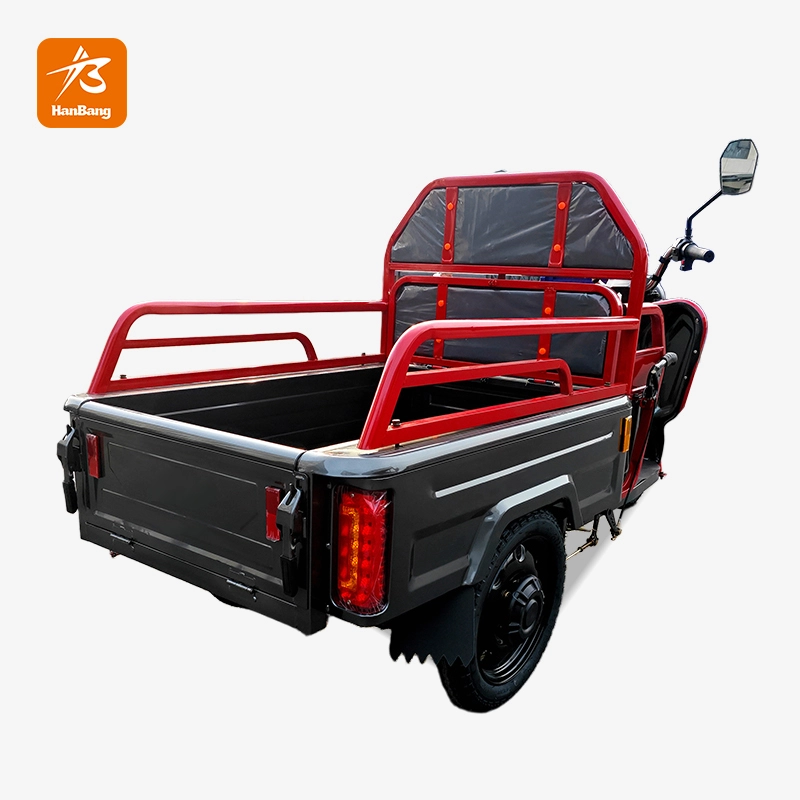 Leisure cargo tricycle electric with EEC certification Leisure cargo tricycle electric with EEC certification