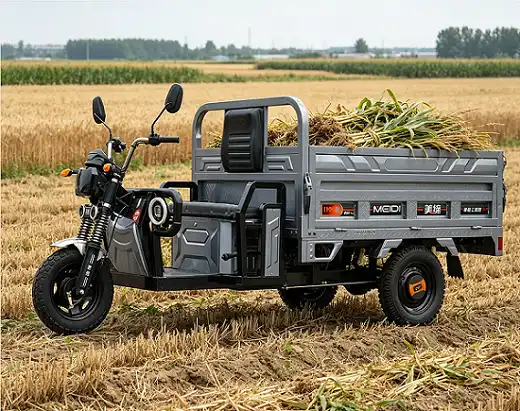 Electric tricycle