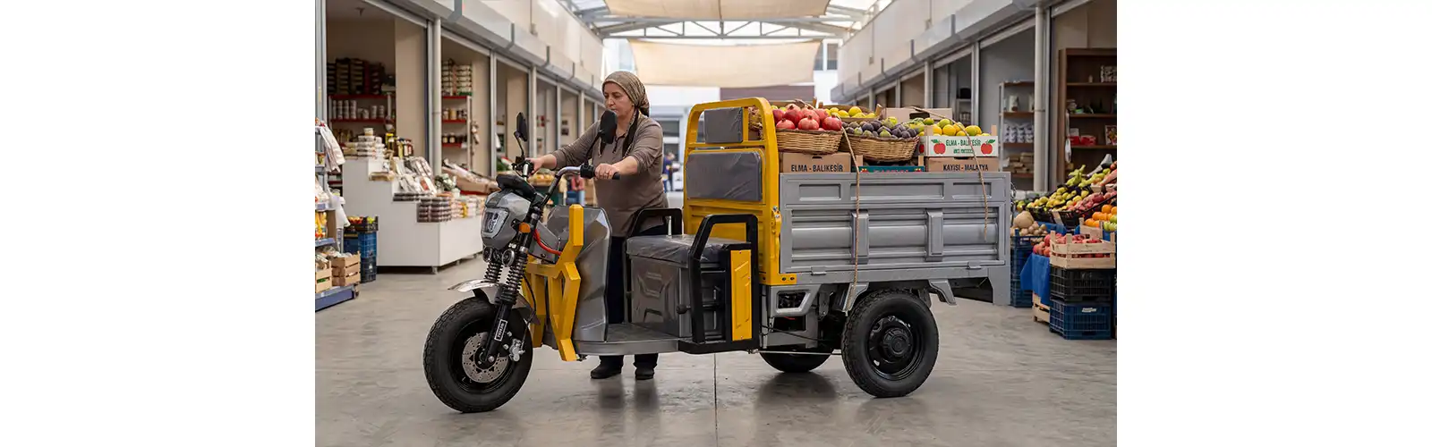 Hanbang electric 3 wheeler cargo tricycle