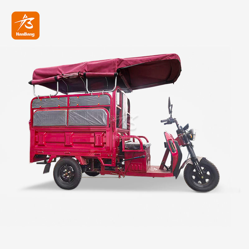 Dual-purpose Electric Tricycle for Passenger and Cargo