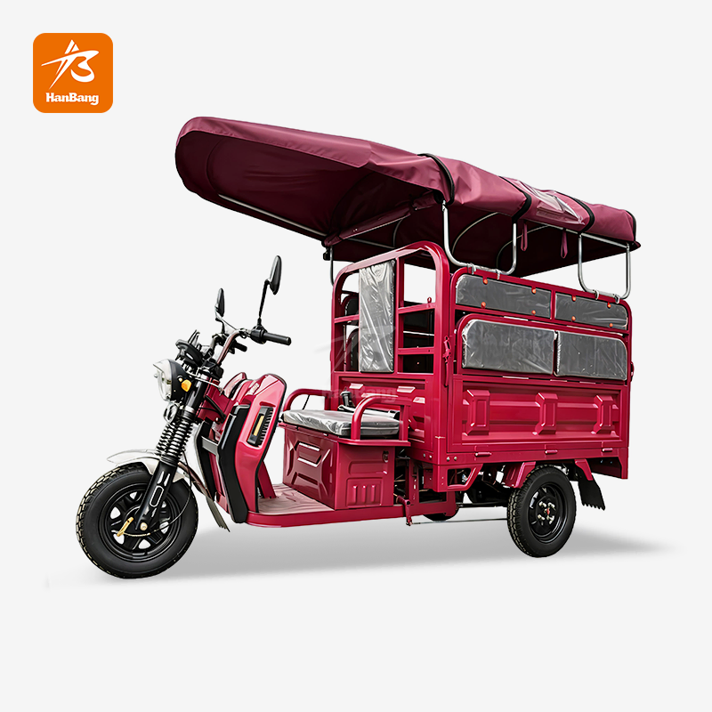 Dual-purpose Electric Tricycle for Passenger and Cargo
