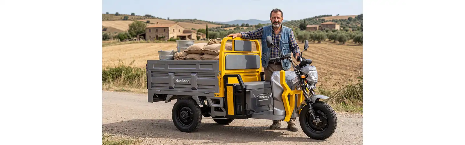 Hanbang electric 3 wheeler cargo tricycle