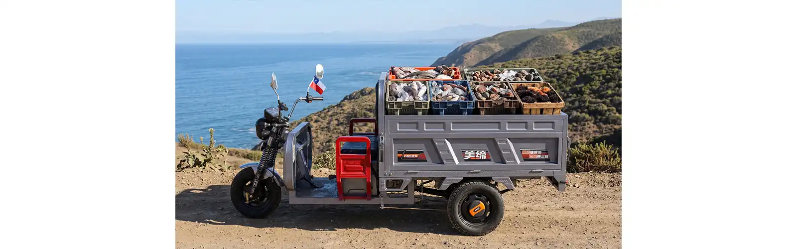 E-Tricycle for Cargo 3 Wheeler