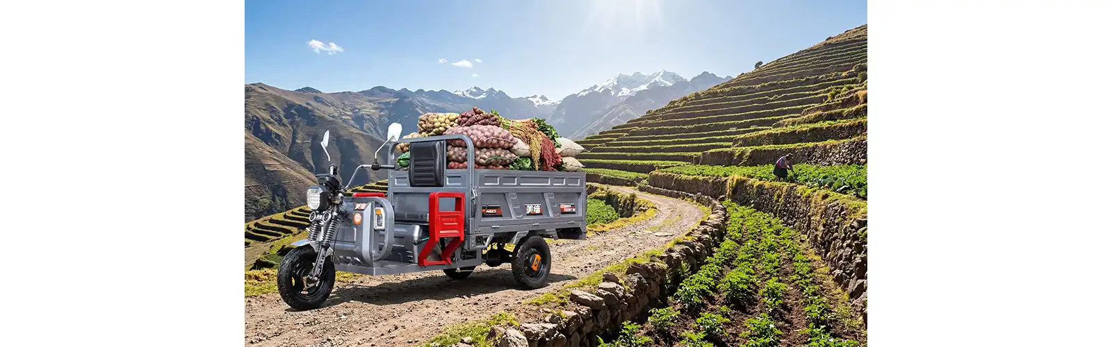 Cargo Electric Tricycle for Adults