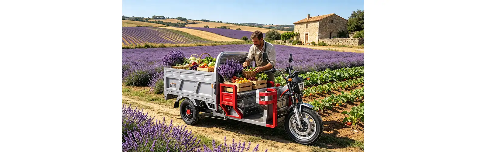 E-Tricycle for Cargo with EEC Certification