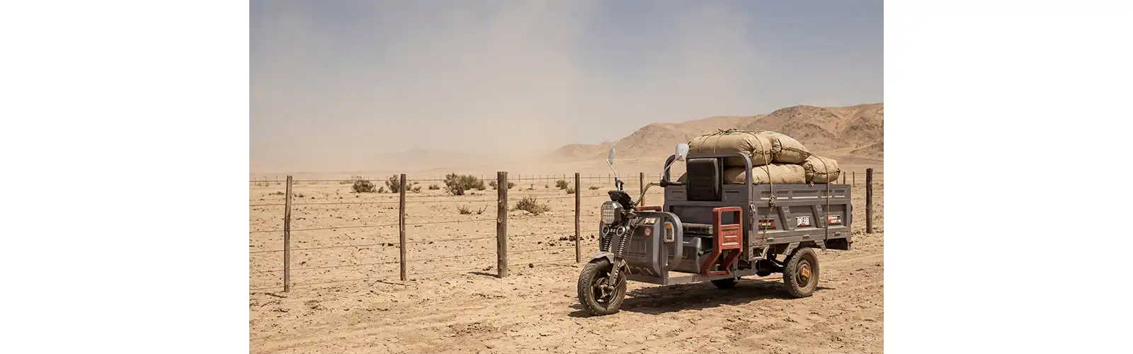 Cargo Electric Tricycle for Adults