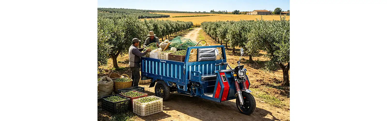 Heavy Duty Electric Utility Tricycle