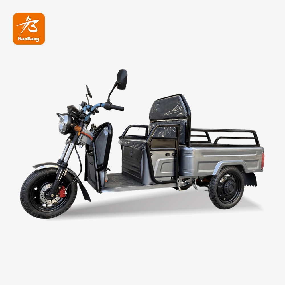 Leisure cargo tricycle electric with EEC certification