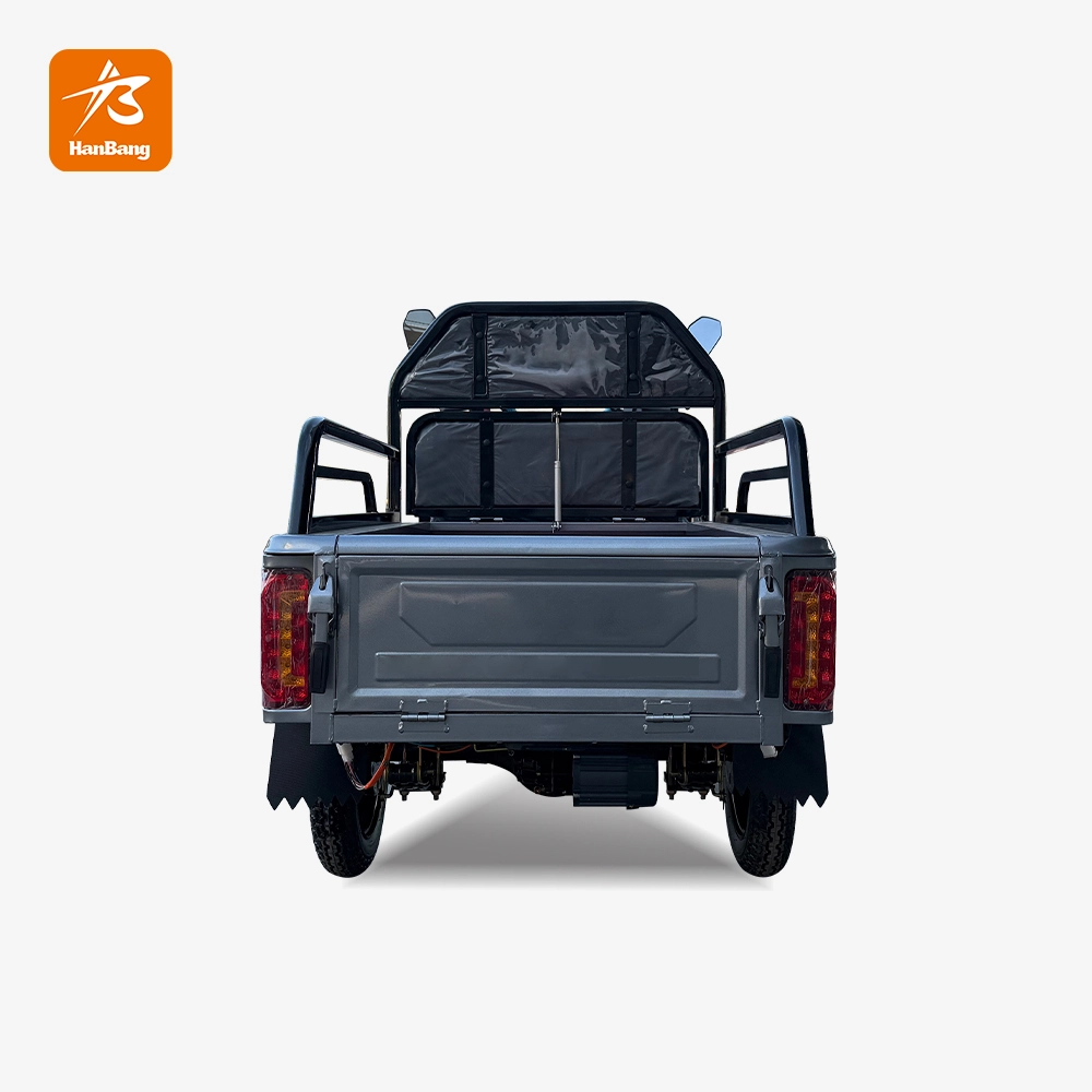 Leisure cargo tricycle electric with EEC certification Leisure cargo tricycle electric with EEC certification