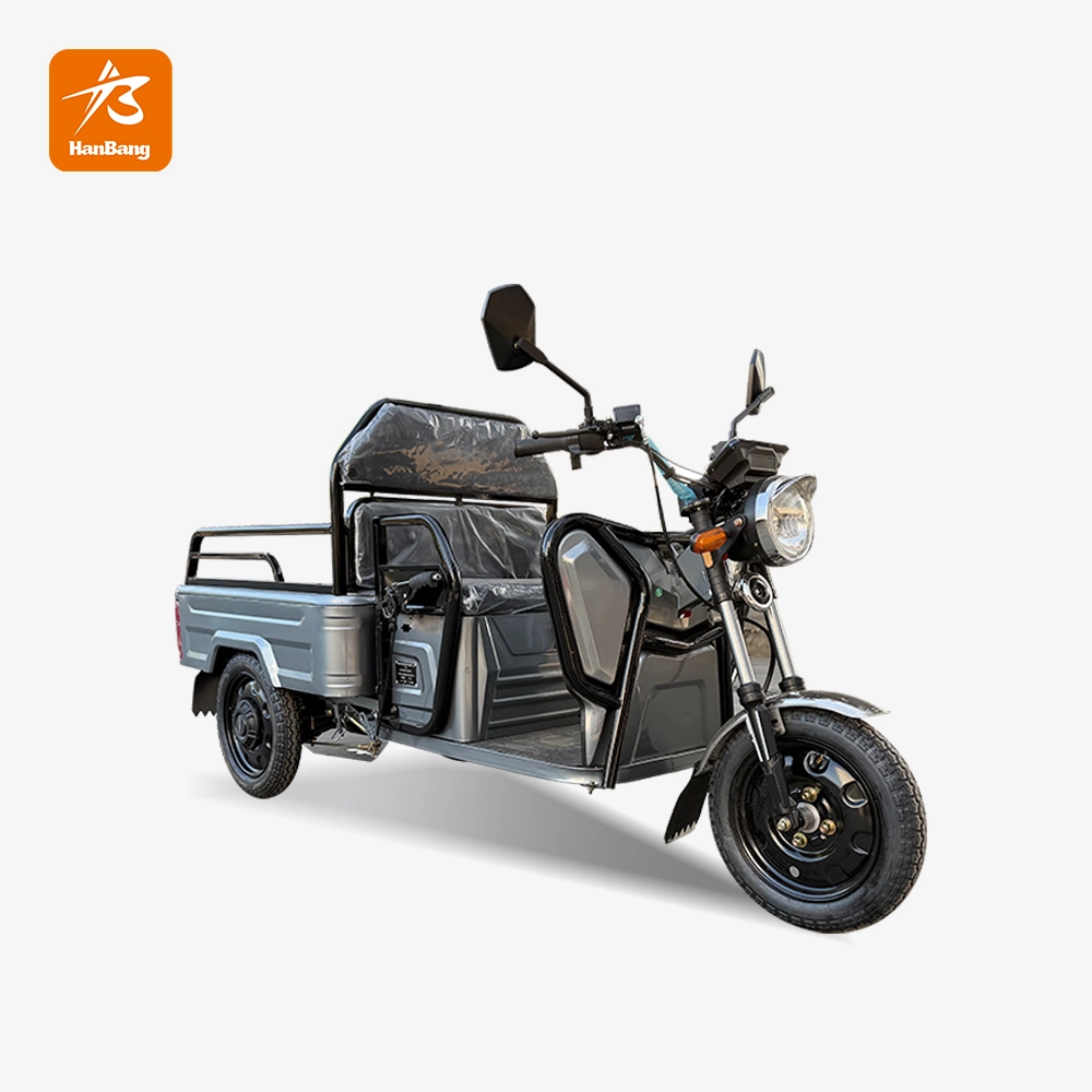 EEC Electric Three Wheeler Cargo Tricycle Motorcycle EEC Electric Three Wheeler Cargo Tricycle Motorcycle